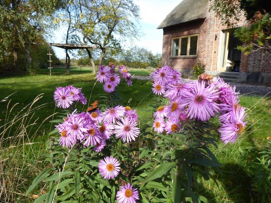 Erholung Auf Dem Land Zwischen Ostsee Und Schlei Stoltebull Exterior photo
